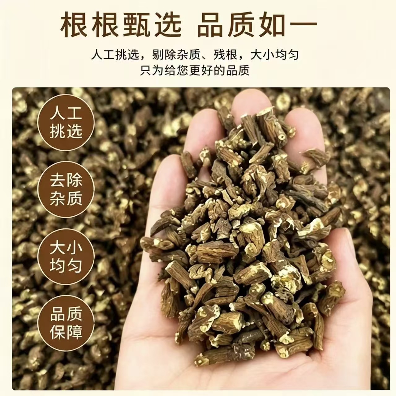 Dried Dandelion Root Cut Pu Gong Ying Herbal Tea Ingredient 1000g Bulk Bag - Image 4