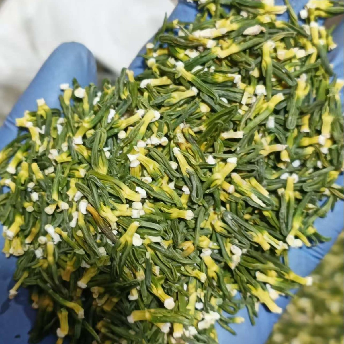 Dried Lotus Plumule Lian Zi Xin 500g Herbal Tea Ingredient for Traditional Decoctions - Image 2