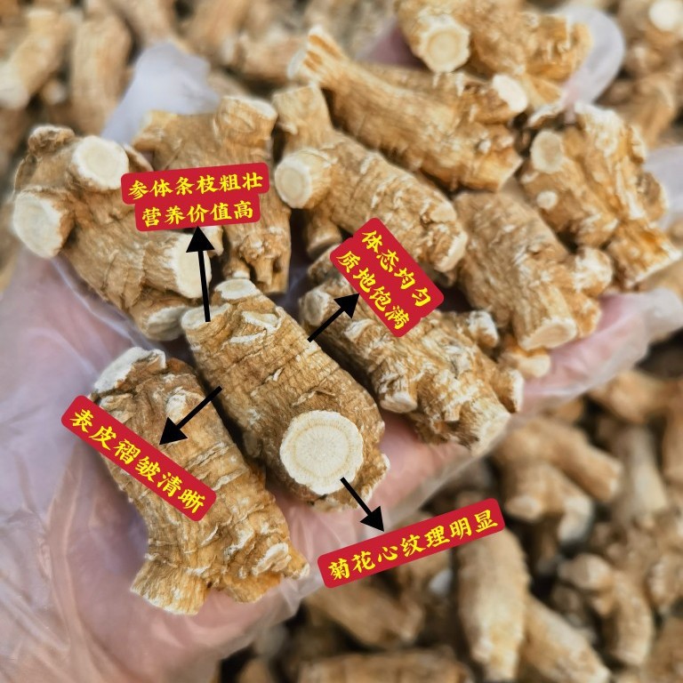 American Ginseng Root Xi Yang Shen Panax quinquefolius Whole Roots 500g Canadian Grown - Image 2