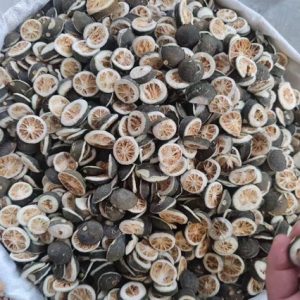 Zhi Shi Slices (Citrus aurantium) — Sichuan-Grown Bitter Orange Decoction Pieces, Unsulfured