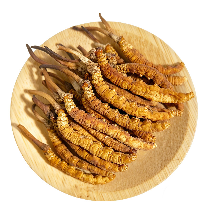 Premium Cordyceps Sinensis Gift Box Dried Tibetan Cordyceps for Traditional Herbal Soup - Image 5