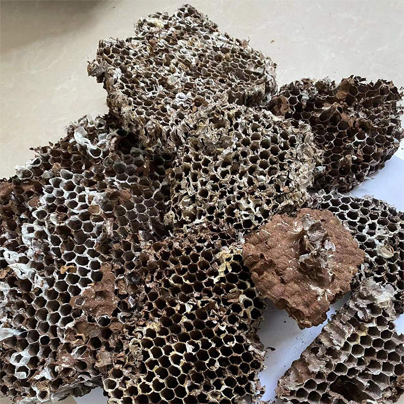 Dried Honeybee Nest Feng Fang 500g Wild Wasp Hive Whole Piece Traditional TCM Herb - Image 3