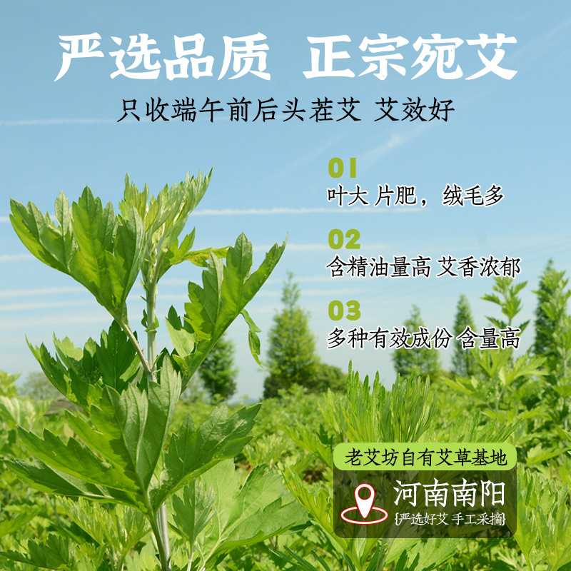 Dried Mugwort Leaf Foot Soak Cakes 500g Aged Ai Ye for Traditional Foot Bath and Bathing - Image 3