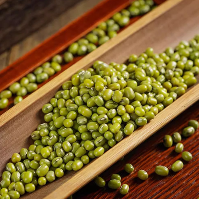 Mung Bean (Vigna radiata) — Dried Food-Herb Legume for Congee, Soups & Cooling Teas, 500g - Image 2