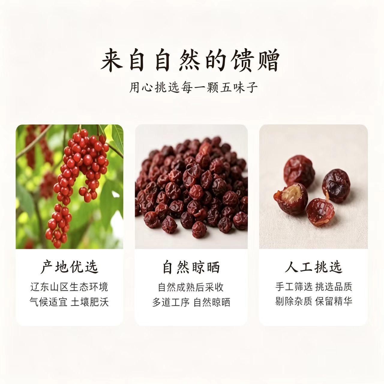 Dried Schisandra Berries Wu Wei Zi Whole Granules for Tea and Infusions 1000g Bag - Image 4
