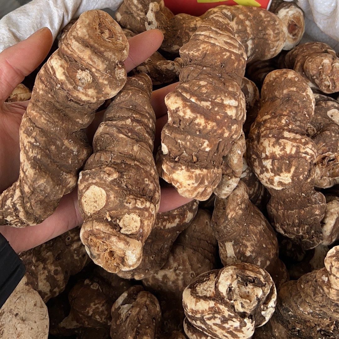 Dried Chonglou Rhizome Paris Polyphylla Yunnan Wild-Grown TCM Herb 1000g - Image 2