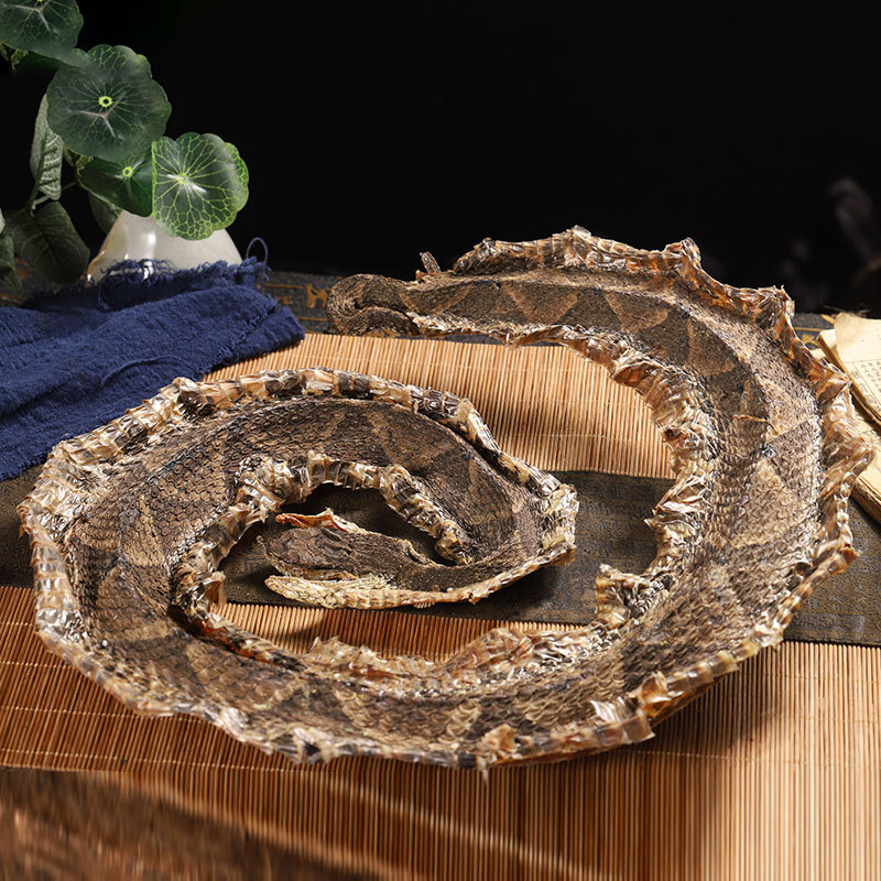 Qi She / Wu Shao She (Agkistrodon & Zaocys) — Dried Snake Herb for Decoction & Powder - Image 3