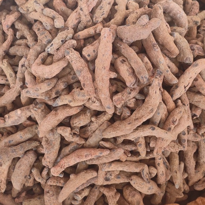 Xue San Qi (Blood Panax) — Dried Herbal Root, 250g Powder-Grade - Image 2