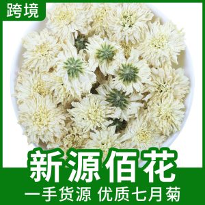 Huangshan Gong Ju Chrysanthemum Petals (Chrysanthemum morifolium) — Dried White Chrysanthemum Flower Tea