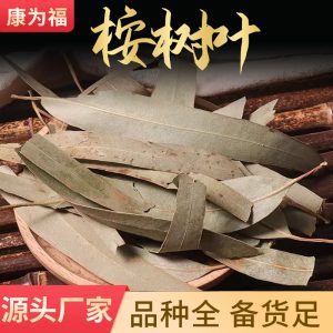 Eucalyptus Leaves (Eucalyptus globulus) — Dried Herbal Leaf for Tea, Steam & Soak