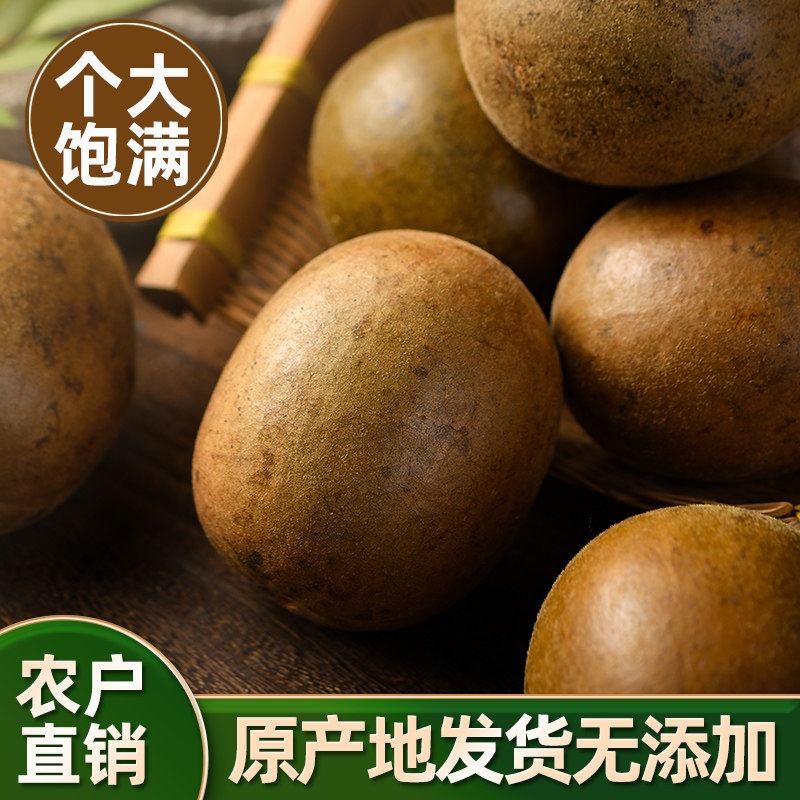 Premium Luo Han Guo Dried Monk Fruit Whole Fruits for Tea and Infusions 50 Extra Large Fruits Individually Wrapped - Image 4