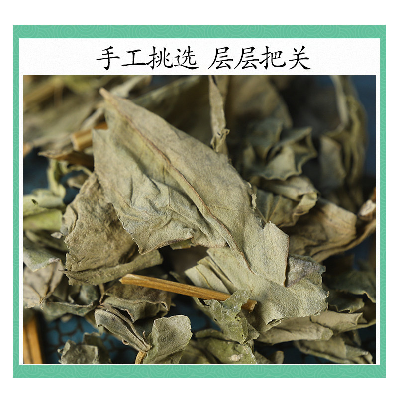Wild Houttuynia Herb Yu Xing Cao Dried Fish Mint Leaves for Herbal Tea 500g Premium Grade - Image 3