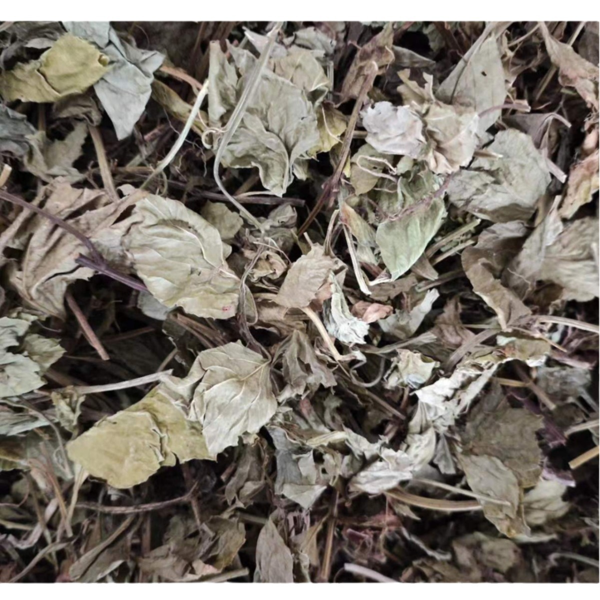 Ling Ling Xiang Powder (Lysimachia foenum-graecum) — Dried Aromatic Herb, 500g - Image 5