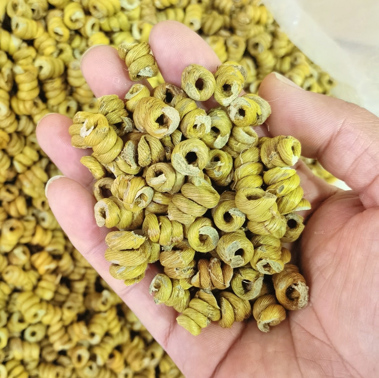 Huoshan Dendrobium Fengdou Granules Mi Hu Tie Pi Shi Hu Bulk 1kg Wholesale - Image 3