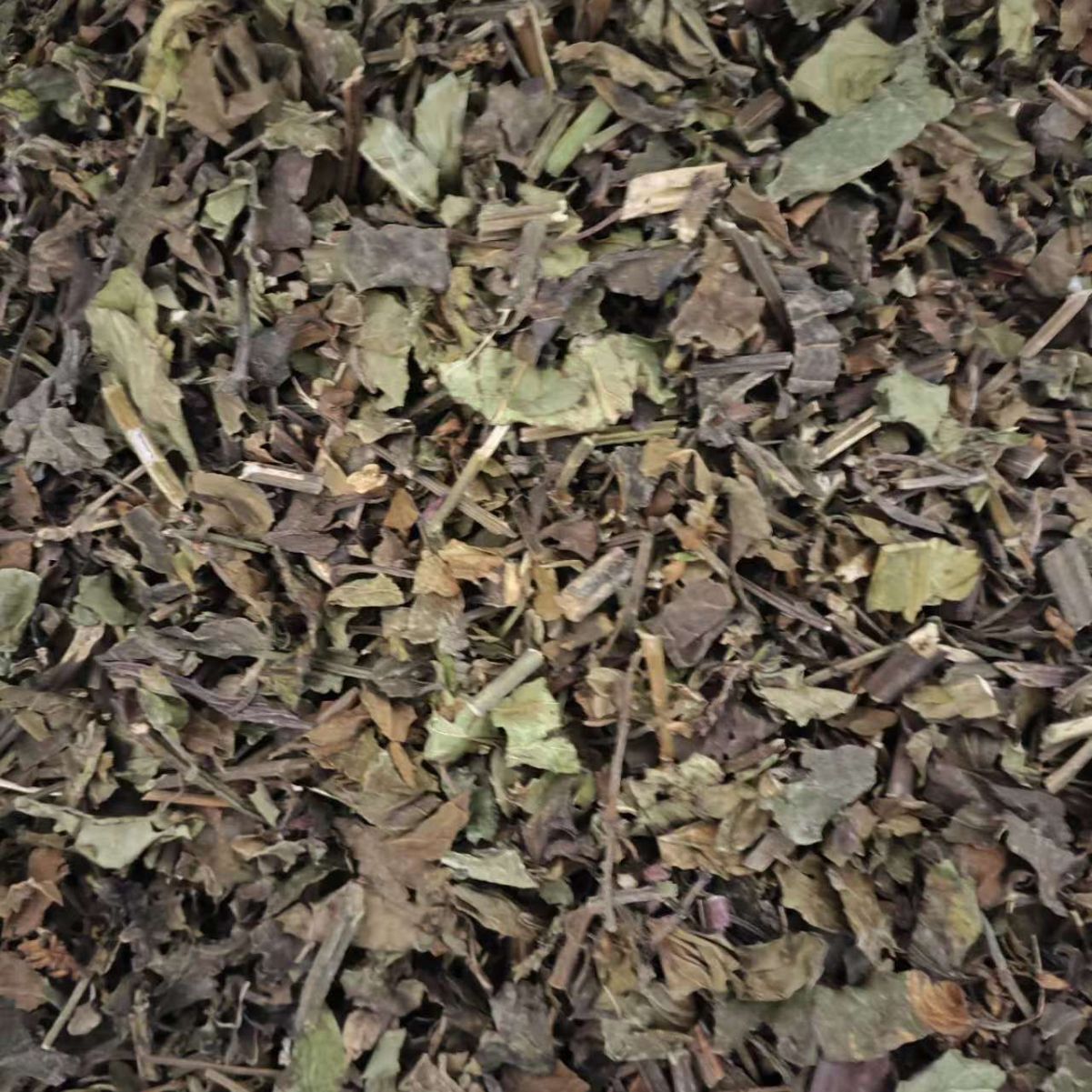 Zhong Jie Feng (Sarcandra glabra) — Dried Herbal Pieces & Custom Powder, 500g - Image 4