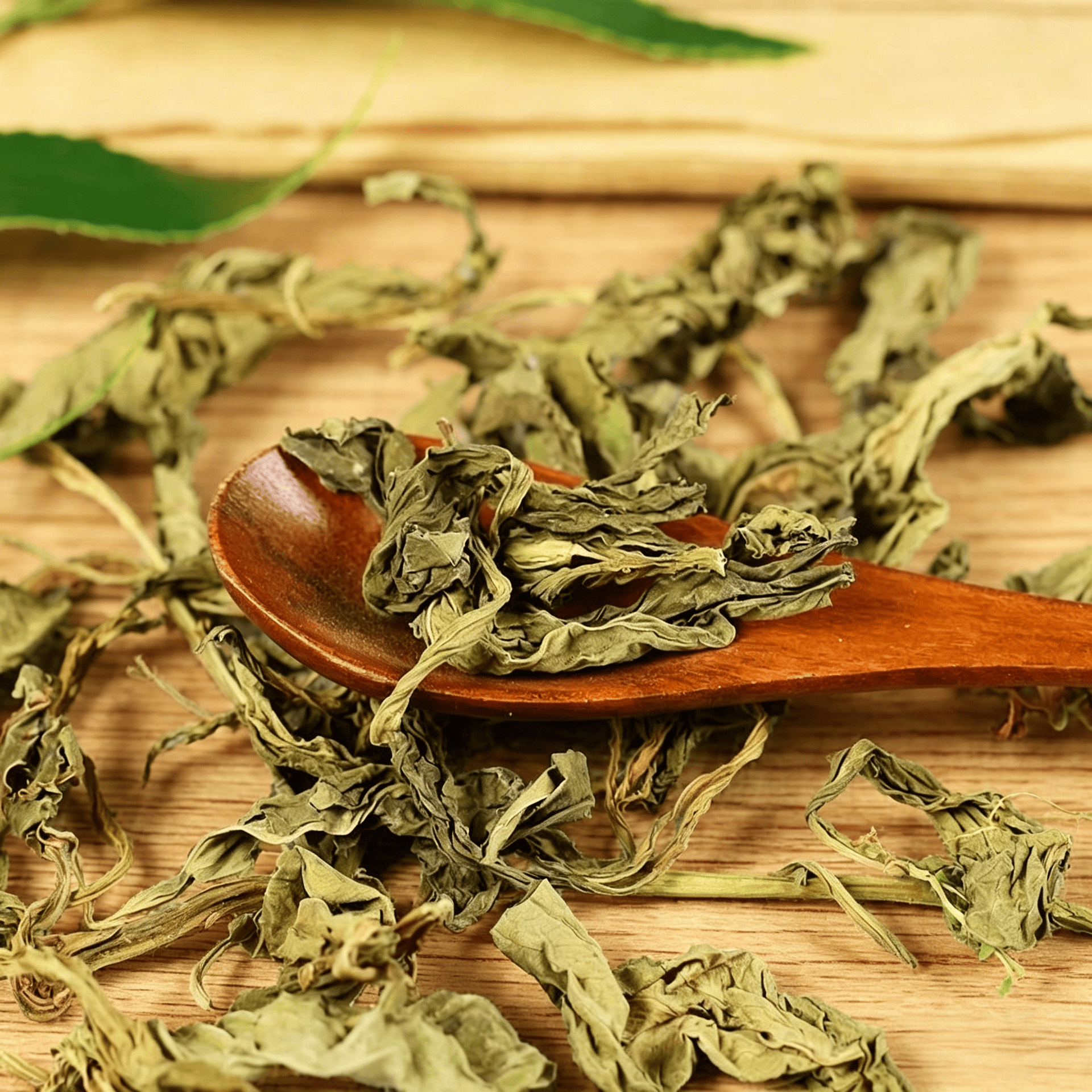 Ling Xiang Cao Dried Lysimachia Foenum Graecum Herb 500g Traditional Chinese Aromatic Herb for Tea and Decoction - Image 2