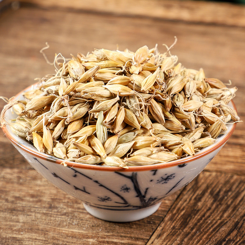Malt (Hordeum vulgare) — Dried Food-Herb Grain for Tea, Soup & Congee - Image 3