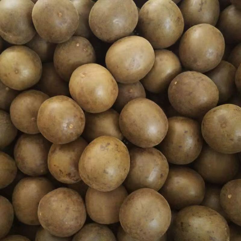Luo Han Guo Monk Fruit 500g Large Whole Fruits from Guilin Guangxi for Throat-Soothing Tea - Image 5