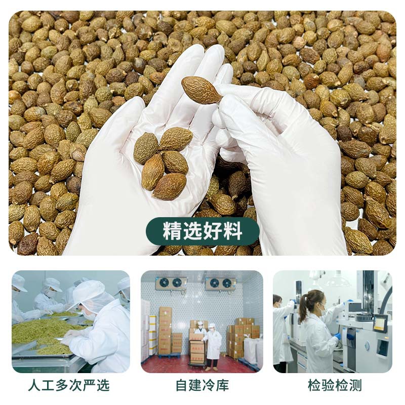 Pang Da Hai Fat Sea Seed Loose Herbal Tea 500g Hand-Selected Sterculia Seed for Daily Wellness Brews - Image 2