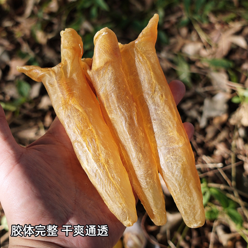 Premium Huang Hua Jiao Fish Maw Tubes 250g Dried Yellow Croaker Swim Bladder for Nourishing Soups and Postpartum Care - Image 4