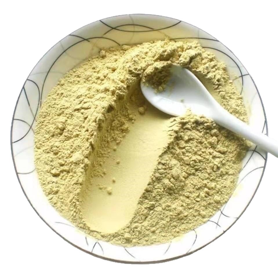 Bitter Melon Powder (Momordica charantia) — Food-Grade Ku Gua Powder, Low-Temperature Dried, 500g - Image 5