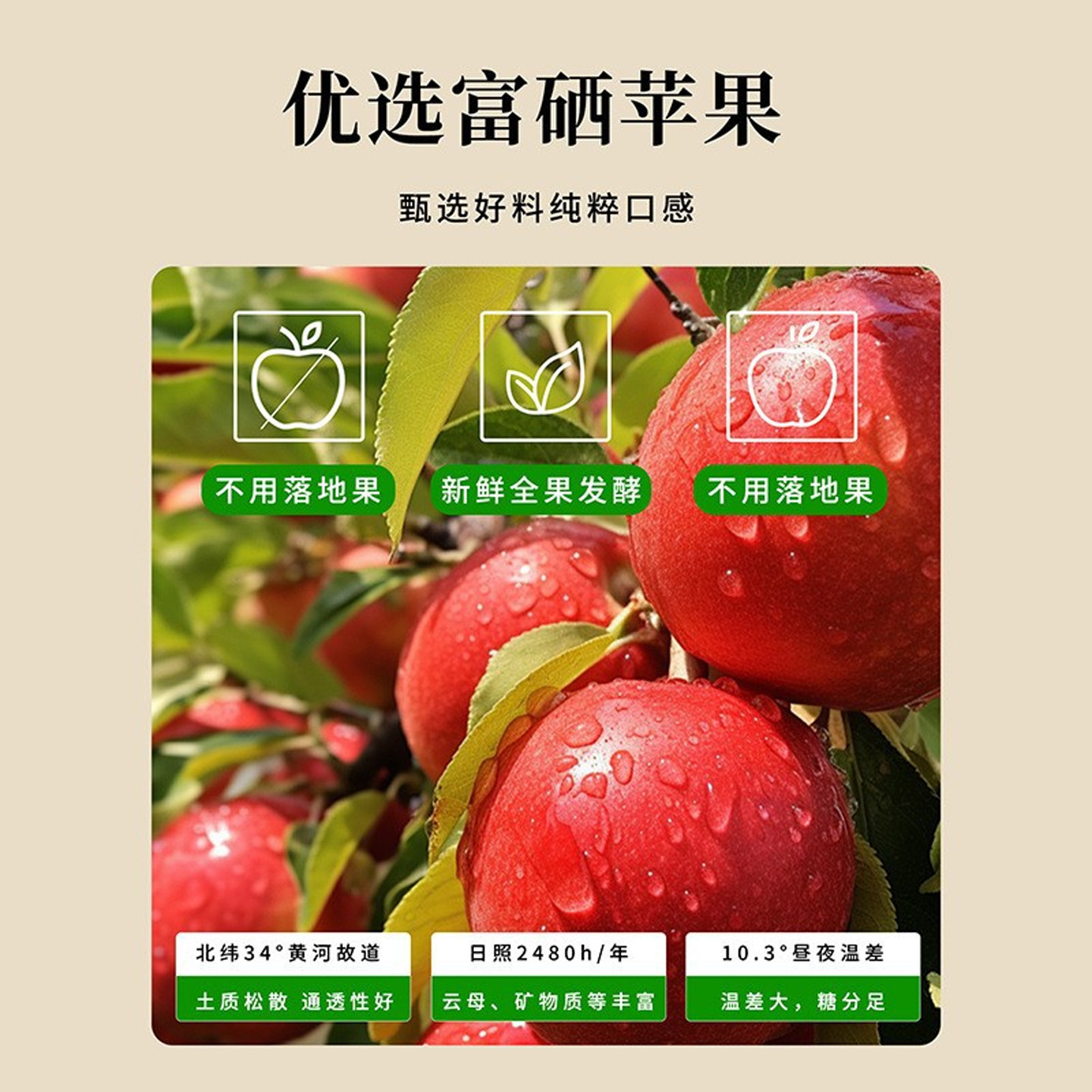 Cinnamon Apple Vinegar Concentrate 150ml Boxed Single-Serve Bottles Plant Beverage - Image 3