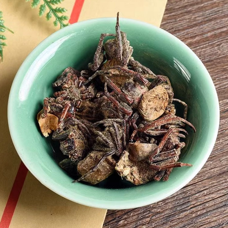 Black Spider (花蜘蛛) Dried Whole Herb — Traditional Chinese Medicinal Material, 500g - Image 4