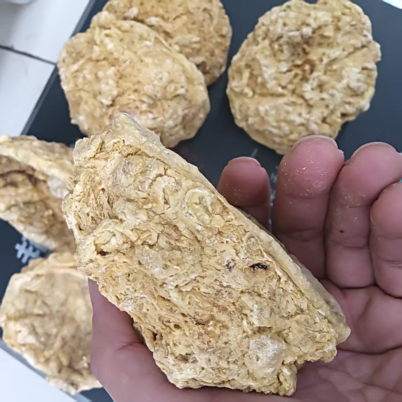 Sheep Placenta Powder 500g Yang Tai Pan Dried Traditional TCM Herbal Supplement - Image 4
