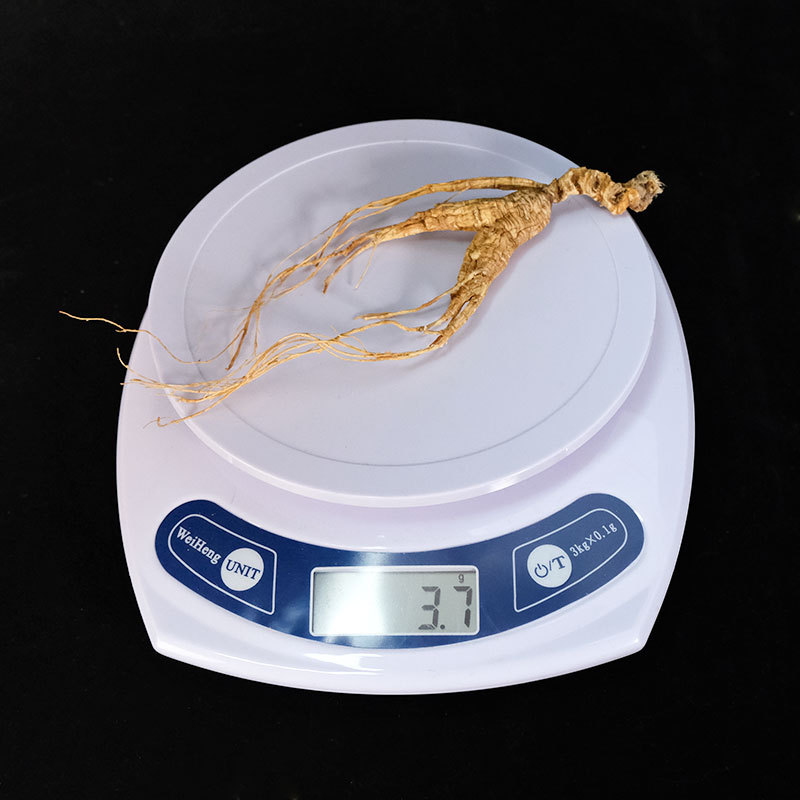 Dried Forest Ginseng Roots Sun Dried Jilin Changbai Mountain 50g Gift Box - Image 4