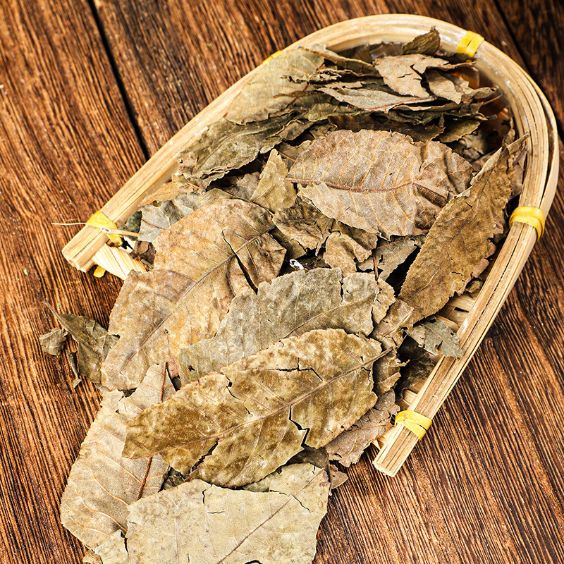 Qing Qian Liu Leaves (Cyclocarya paliurus) — Dried Food Herb for Herbal Tea, 500g - Image 4