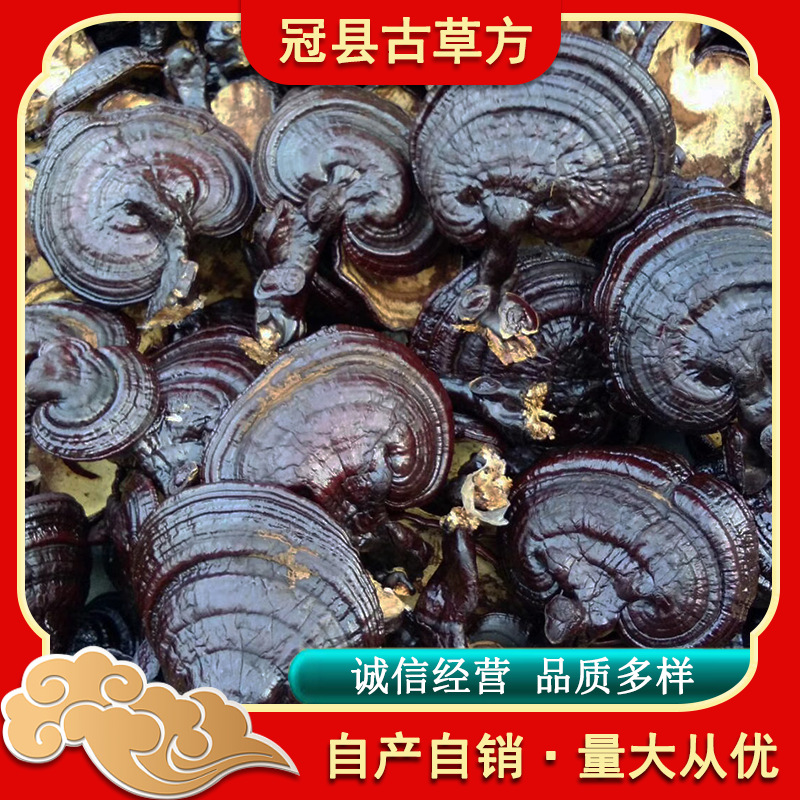 Black Reishi Mushroom Dried Slices Rich Mushroom Aroma for Tea Wine and Soup - Image 4