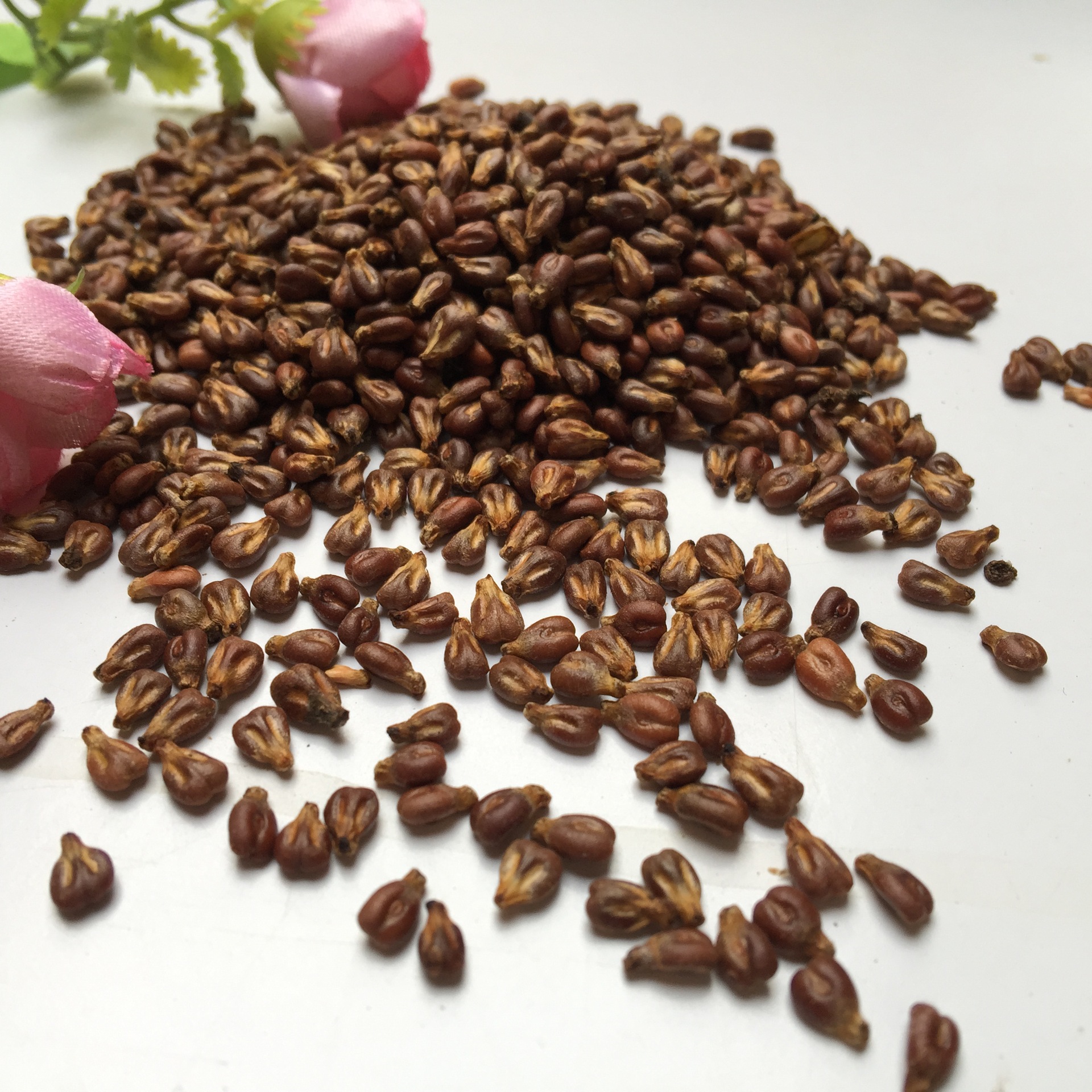 Grape Seed Powder Xinjiang Roasted Pu Tao Zi Culinary Herbal Ingredient - Image 2