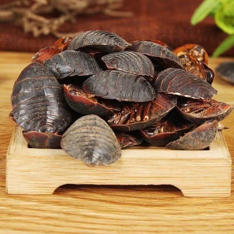 Dried Ground Beetle Tu Bie Chong 500g Wild-Caught Whole Insect TCM Herbal Ingredient for Decoction Use - Image 2