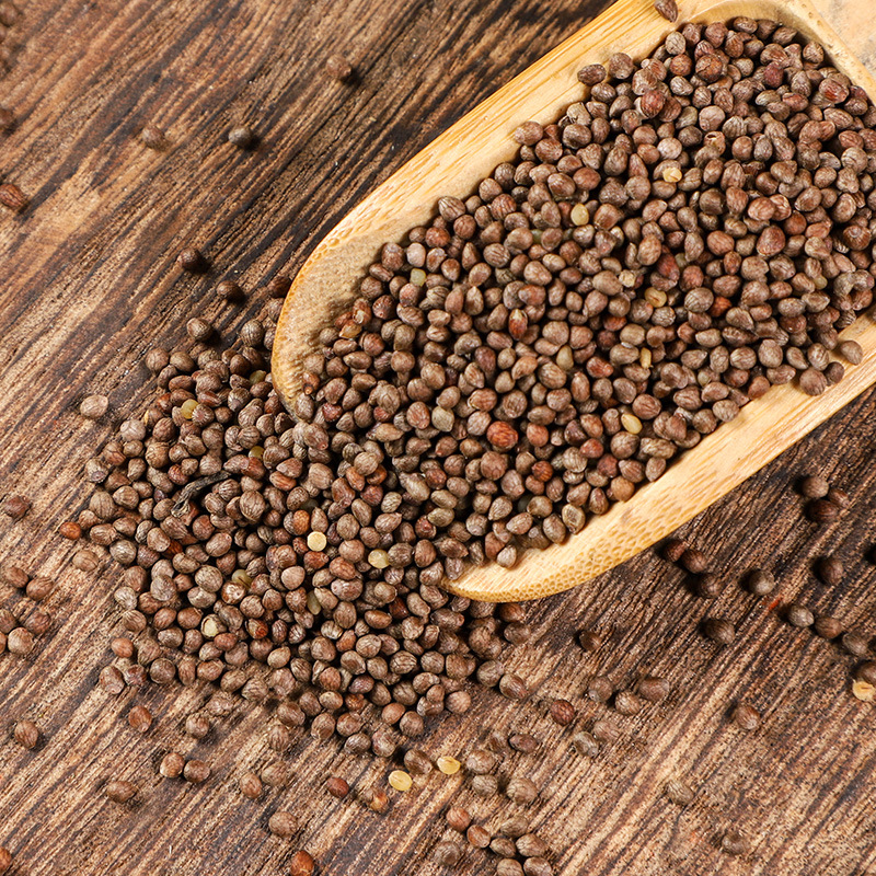 Zi Su Zi (Perilla frutescens) — Roasted Perilla Seed, Food-Herb for Cooking & Wellness - Image 3