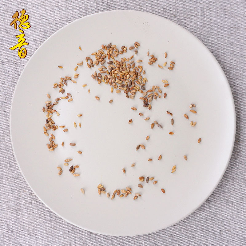 Platycladus Seed Bi Zi Ren 500g Dried Platycladus orientalis Seed for Decoction and Culinary Use - Image 4