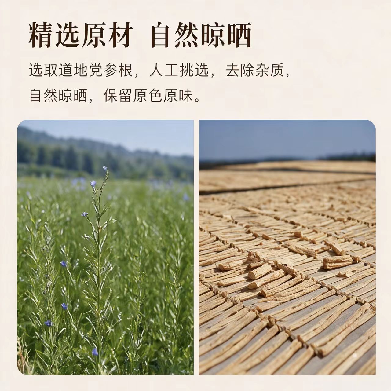 Dried Codonopsis Root Dang Shen 甘肃党参 5-Year Gansu Raw Herb 1000g Bag for Cooking and Decoction - Image 4