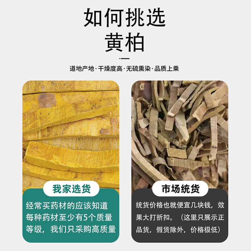 Dried Phellodendron Bark Huang Bai 100g Sichuan Herb for Tea and Decoction - Image 2