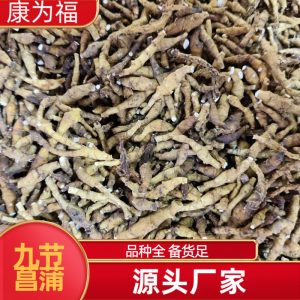 Jiu Jie Chang Pu (Anemone altaica) — Dried Rhizome, Powder Option, Food Herb