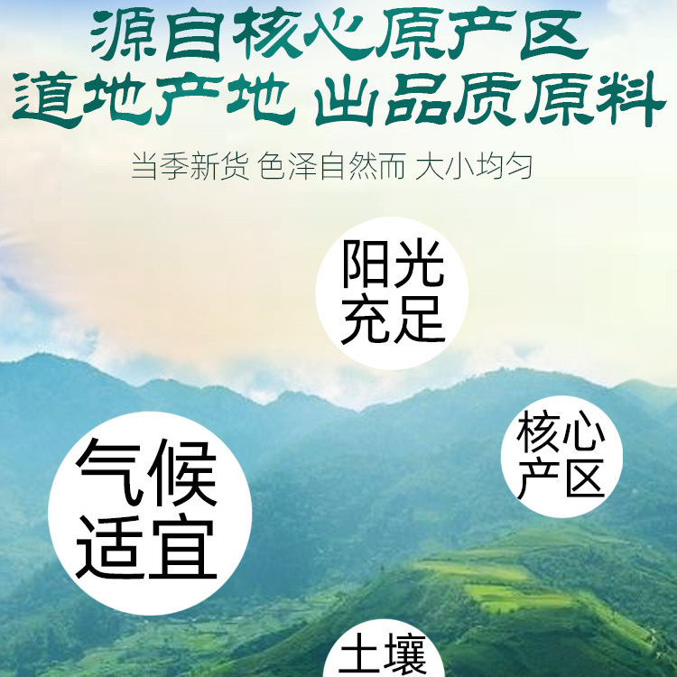 Morinda Root Ba Ji Tian Dried Herbal Slices for Decoction Wine and Soup Traditional TCM Wellness Ingredient - Image 4