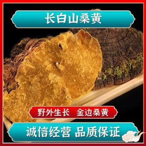 Mulberry Sang Huang (Sanghuangporus sanghuang) — Wild Jilin Changbai Mountain Cut Slices, 100g