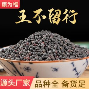 Wang Bu Liu Xing (Vaccaria segetalis) — Dried Cowherb Seeds, Food Herb for Tea & Soup