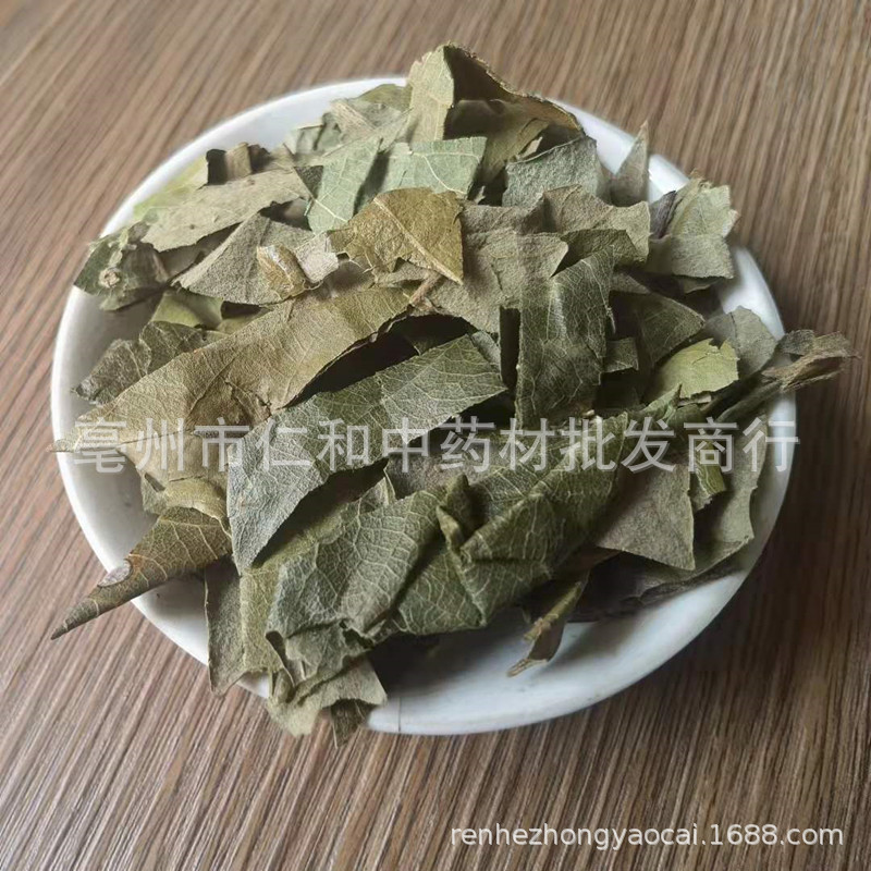 Dried Loquat Leaf Pi Pa Ye 枇杷叶 Traditional Chinese Herb for Herbal Tea and Decoction Sold by Weight - Image 3