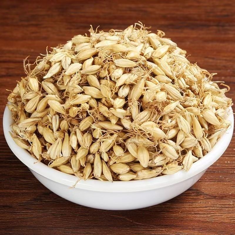 Raw Mai Ya Dried Barley Sprout Grain for Herbal Decoction and Tea 500g - Image 4