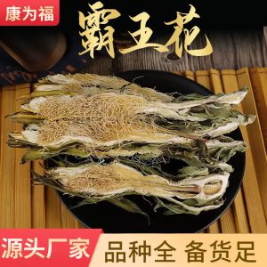 Ba Wang Hua (Hylocereus undatus Flower) — Dried Pitaya Flower for Soup & Tea