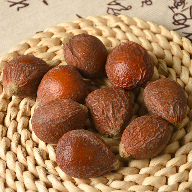 Tie Shu Guo (Cycas revoluta Seeds) — Dried Sago Palm Fruit, 500g Herbal Supply - Image 4