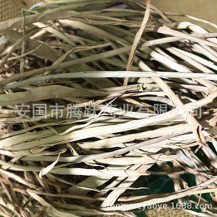 Dried Bamboo Leaf Heart Zhu Ye Juan Xin Loose Herb 500g for Decoction and Tea - Image 4