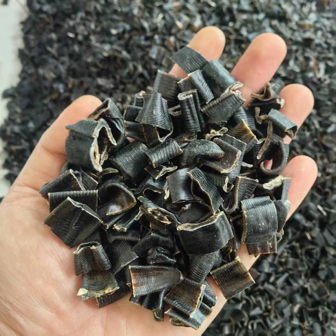 Dried Leech Shui Zhi 水蛭 Hirudo Slices 500g Traditional Chinese Herb Can Be Ground to Powder - Image 2