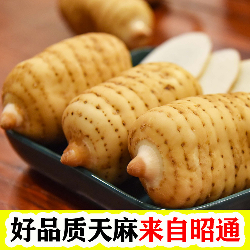 Fresh Wild-Simulated Black Gastrodia Tian Ma 500g Gift Box Yunnan Zhaotong Xiaocaoba Newly Harvested - Image 2