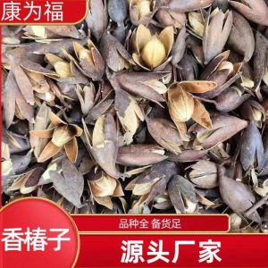Xiang Chun Zi (Toona sinensis Seeds) — Dried Food Herb, 500g