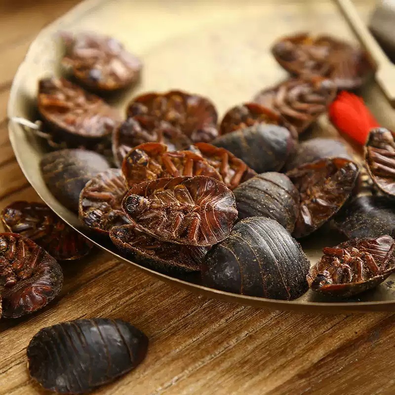 Tu Yuan Dried Ground Beetle Whole Insect TCM Herb 500g Shandong Origin - Image 3